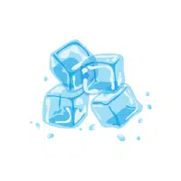 Ice Thing that start with I for Kids