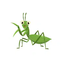 Insect | I letter Things in English for Kids