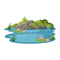 Pond | Nature Vocabulary Words in English