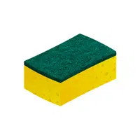 Scouring Pad | Cleaning Tool Name in English