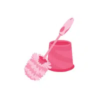 Toilet Brush | Cleaning Tools Names in English