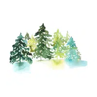 Woodland | Nature Vocabulary Words in English