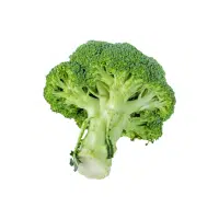 Broccoli | Vegetables Plants Names