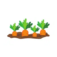 Carrot | Vegetables Plants Names