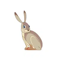 Jackrabbit
