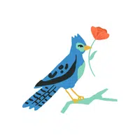 Jaybird | J letter thing name