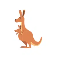 Kangaroo Pouch | K letter Things Names in English