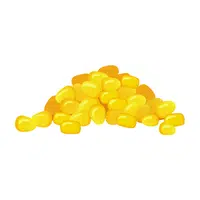 Kernel (corn) | K letter Things Names in English