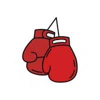 Kickboxing Gloves | thing for kids