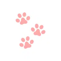 Kitten’s Paw | K letter Things Names in English