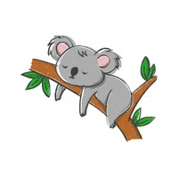 Koala | K letter Things Names in English