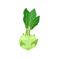 Kohlrabi | Vegetables Plants Names