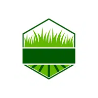 Lawn | thing for kids