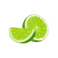 Lime | L letter thing name in English