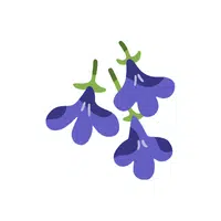 Lobelia (flower) | L letter things names in English
