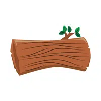 Log | L letter things names in English