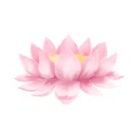 Lotus | L letter things names in English