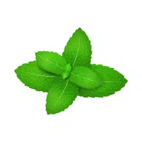 Mint | thing for kids