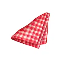 Napkin | N letter things names for Kids