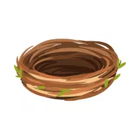 Nest | N letter things names for Kids