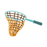 Net | N letter thing name for Kids