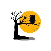 Night Owl (someone awake at night) | thing for Kids