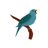 Nightingale (bird) | thing for Kids