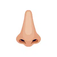 Nose | N letter things names for Kids