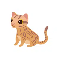 Ocelot | O letter things for kids