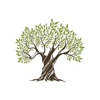 Olive Tree | thing for kids