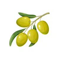 Olives | thing for kids
