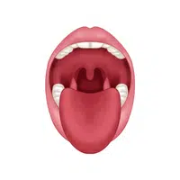 Oral Cavit | thing for kids