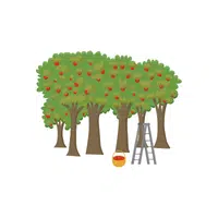Orchard | thing for kids