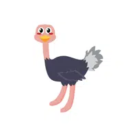 Ostrich | O letter things for kids