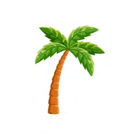 Palm Tree | P letter things Names for Kids