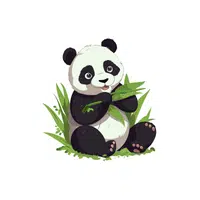 Panda | P letter things Names for Kids