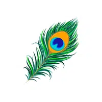 Peacock Feather thing Name for Kids