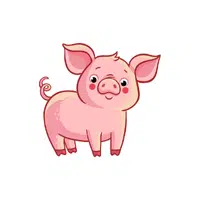Pig | P letter thing Name for Kids
