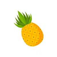 Pineapple | P letter thing Name for Kids