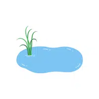 Pond | P letter things Names for Kids