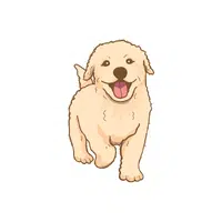 Puppy | P letter things Names for Kids