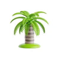 Queen Palm | Thing for kids