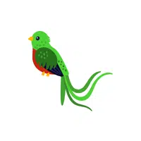 Quetzal | Thing for kids