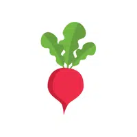 Radish | R letter things Names for Kids