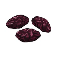  Raisins | R letter things Names for Kids