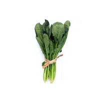 Spinach | Vegetable Plant Name