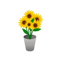Sunflower | Flowers Plants Names in English