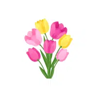 Tulip | Flowers Plants Names in English