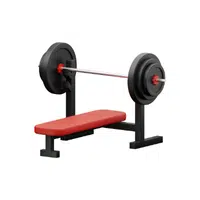 Bench Press | Gym Accessories Names in English
