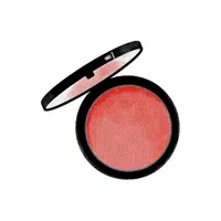 Blush | Makeup Vocabulary words in English